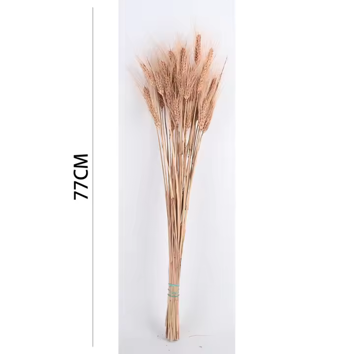 Poenia Arte Floral - Trigo Preservado 77cm - REF 7152 - Decoración del Hogar - DIY para Mesa - Boda - 1
