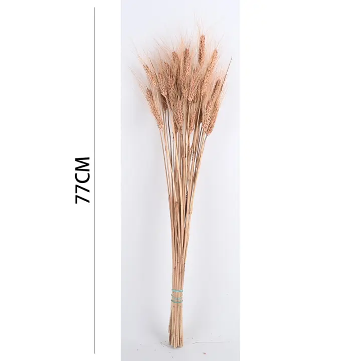 Poenia Arte Floral - Trigo Preservado 77cm - REF 7152 - Decoración del Hogar - DIY para Mesa - Boda - 1