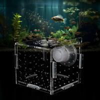 Caja De Cría De Peces Transparente Fácil De Montar Acrílico Para Acrílico Agresivos Fry Recién Nacidos Guppy Baby Prawn Camarón - details 7
