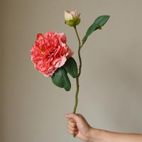 1PC Peonía Artificial De Lujo Con 2 Cabezas Para Decoración De Bodas Y Hogar Flores Silken Simulación Para Sala De Estar Porche Fiestas - details 12