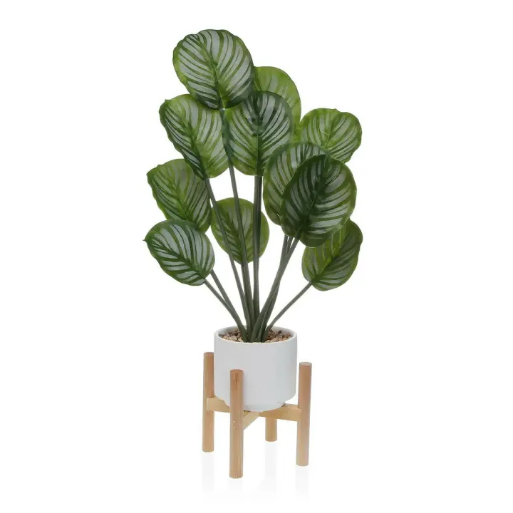 Planta Decorativa Versa - 1