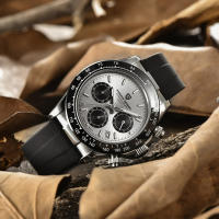 Reloj De Cuarzo PAGANI DESIGN Para Hombre Reloj De Pulsera Deportivo De Lujo Automático Con Fecha Impermeable Y Cronógrafo Dorado - details 24