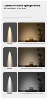 Spotlight LED Pequeño Ángulo De Haz 5W 7W 9W 3 8 15 Grados Para Iluminación De Techo Arte Hogar Museo Foco Incorporado - details 12