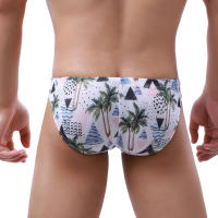 Bikini De Verano Para Hombres Briefs De Natación Sexy Surf Rápidamente Secos Trajes De Baño Cortos De Playa Moda Masculina - details 9