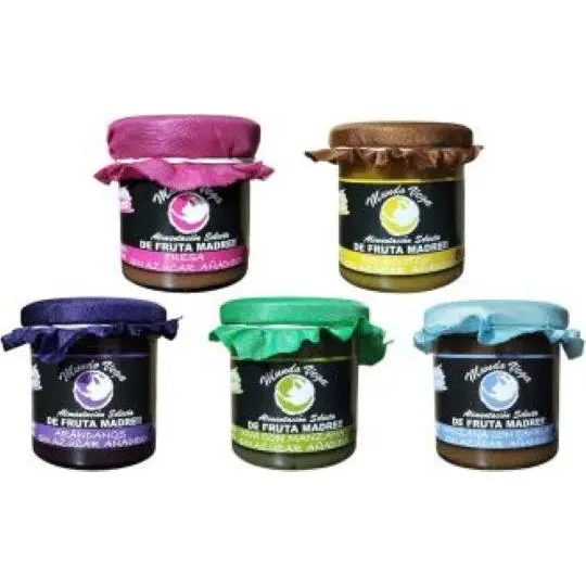 PACK 5 Mermeladas de FRUTA MADRE 165gr Mundo Vega Artesana SIN AZÚCARES AÑADIDOS (ARANDANOS, FRESA, MELOCOTÓN, MANZANA-CANELA y KIWI-MANZANA) - 1