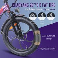 Bicicleta eléctrica Fafrees F20 Pro Neumático grueso de 20 * 3,0 pulgadas Motor sin escobillas de 250 W Velocidad máxima de 25 km / h Engranajes de 7 velocidades con batería de litio extraíble de 36 V 18 AH Alcance máximo de 150 km- Gris - details 6