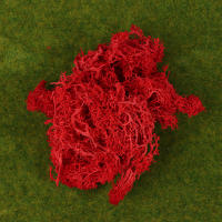 1Pc Moss Artificial De Colores Naturales Para Decoración De Joyería Jardín Y Epoxy Resina Decorativa Para Mesa - details 12