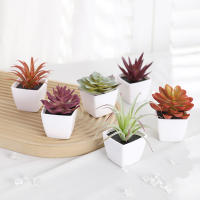 1SET(6PCS) Succulentas Simulación Pequeñas En Macetas Para Decoración De Hogar Balcón Baño Estantería Jardín Mini Realistas 22449ZH6 - details 3