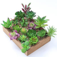 12 Piezas De Mini Plantas De Suculentas Artificiales Para Decoración No Envasadas Colores Aleatorios Para Jardín Al Aire Libre Y Fiestas - details 6