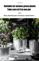 Maceta Automática De Riego Por Absorción Doble Capa Transparente Plástico Para Suculentas Maceta Decorativa Para Plantas De Escritorio - details 4