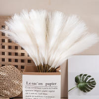 10Pcs 55cm Mini Pampas Sintética Hierba Artificial Planta Falsa Rama De Juncos Para Decoración De Hogar Sala De Estar Cocina Bodas Estilo Boho - details 1