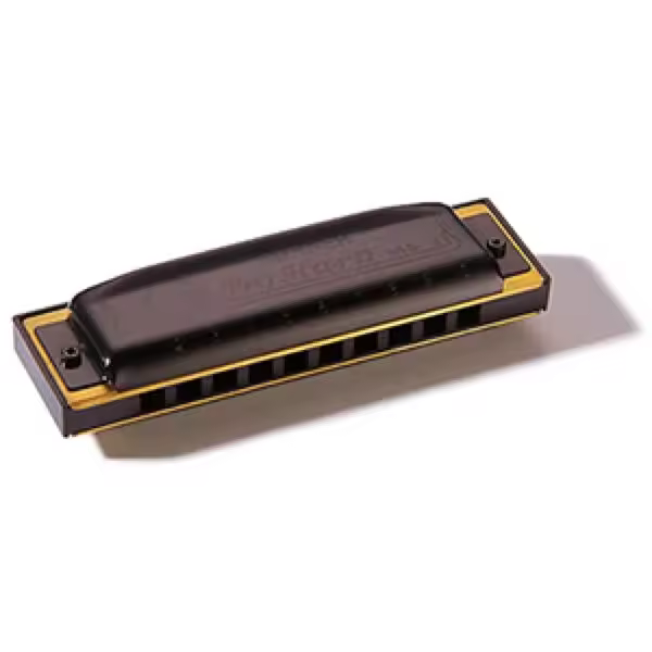 Armónica Hohner Pro Harp 20V 562/20 (Bb) - 1