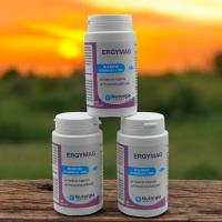 Ergymag 100 cápsulas Nutergia, 4 sales de Magnesio, Con vitaminas B y Zinc, Buen funcionamiento del Sistema nervioso y muscular, Ayuda contra la fatiga física y nerviosa. Estrés, ansiedad. - details 4