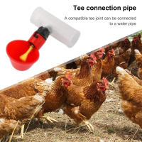 Conector De Tee Para Bebederos Y Bebedoras Automáticos De Plástico PVC Para Pollos Y Pájaros 20/25mm Set De 30-6 Piezas - details 2