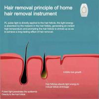 Epilador Permanente Para El Cuerpo Y Pubis Dispositivo De Peluca Remoción De Cabello Para Mujeres Uso Doméstico Recargable - details 9