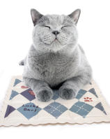 Alfombra De Enfriamiento Para Mascotas Verano Nido De Hielo Para Gatos Y Perros Almohadilla De Descanso Cómoda Y Refrescante - details 7
