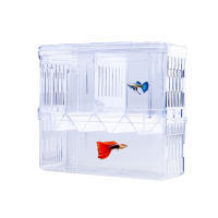Caja De Cría De Peces Peacock Acrílica Para Acuario Caja De Aislamiento Para Peces Tanque De Incubación Hatchería Fabricante WHPHous - details 1