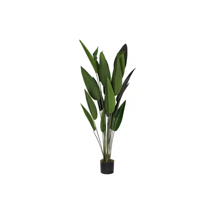 Planta Pe 50X50X160 Ave Del Paraiso Verde El mejor complemento para tu hogar  -Fijalo- - 1
