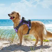 Arnes Para Perros De Medio Y Grande Con Cubierta Protectora De Silicona Antideslizante Ajustable Para Pecho No Hay Pull En Todas Las Estaciones Tamaños S M L XL Colores Negro Rojo Morado Rosa - details 3