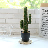 Gran Suculentas Artificiales De Espina De Desierto Para Decoración Del Hogar 30/43cm Planta Falsa De Cactus Para Interiores Sin Mantenimiento - details 1