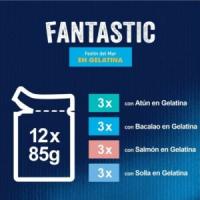 FELIX - Fantastic Gelatina (24x85 gr) - Comida Húmeda Festín del Mar (Atún, Salmón, Bacalao y Solla) (2 Cajas de 12x85 gr) - details 0