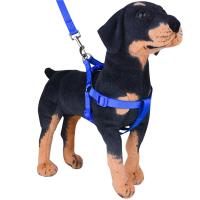 Harnés Respirable Para Perros Y Gatos Con Correa De Tracción Ajustable Triangular Ropa De Mascota Para Adultos - details 0