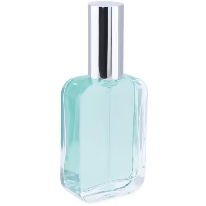 Frasco Perfume  Petaca Pulverizador Plateado | Envase Recargable de Cristal Transparente | Ideal para Perfumes Caseros y Regalos Sofisticados - 1