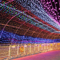 Luces LED De Navidad 220V EU Plug 10M 20M Guirnalda Decorativa Para Exterior Fiesta Casamiento Hogar Luces De Año Nuevo - details 7