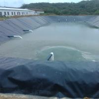 Revestimiento de estanque de goma suave precortado negro para estanques de carpa, fuentes y jardines de agua 9,8*9,8 pies negro 3x3 m. - details 3
