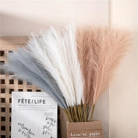 1/5PCS Flor De Pampas Artificial En Estilo INS Alta Calidad Plantas Falsas Para Decoración Bohemia De Hogar Y Jardín Para Dormitorio Y Balcones - details 3