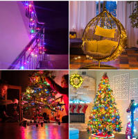 Luces De Cadena LED DC24V Colores Para Decoración De Navidad Exterior Y Festivales Con Enchufe EU/US Luz Faeirita Autónoma Impermeable - details 7