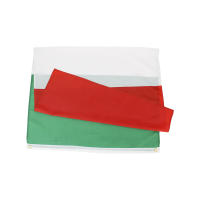 Bandera De Italia 3x5 Pies Verde Blanco Rojo Para Decoración Material Poliéster Estilo Colgante Fabricado En China - details 2