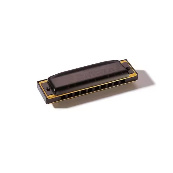 Armónica Hohner Pro Harp 20V 562/20 (G) - 1