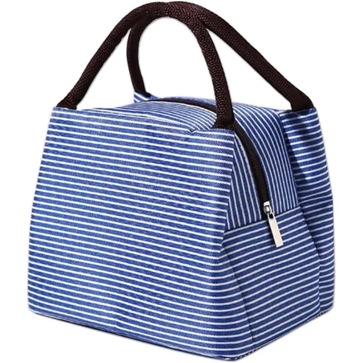 Bolsa Térmica PARA EL alcadero, lonchera Térmica para Picnick, Oficina y Playa (Azul) - 1