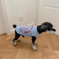 Nueva Camiseta Para Mascotas De Algodón Transpirable Para Schnauzer Teddy Bichon Pomeranian Shiba Inu Primavera Verano Ropa De Mano Sin Mangas Para Perros - details 4