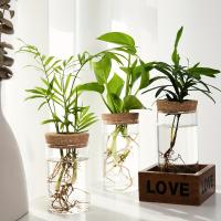 1pc Vaso De Cristal Para Plantas De Esterilidad Decoración De Escritorio Estación De Propagación De Plantas Jardín De Interiores - details 4