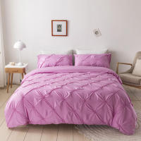 Set De Edredón 3 Piezas Con Cierre De Cremallera Y Amarras En Esquinas Microfibra Suave Con Pliegues Pinch Detección De Alta Calidad - details 27