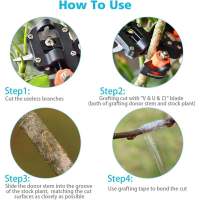 Tijeras de Podar de Jardín profesionales, Kit de jardinería para insertar árboes - details 2
