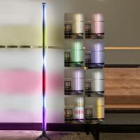 Lámpara De Piso LED Para Decoración De Habitaciones RGB+WW+CW Suministro De Energía USB Iluminación Long Ground Para Casas Nórdicas - details 2