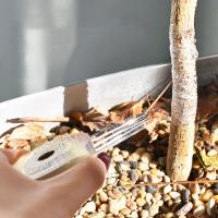 6pcs Cinta De Enraizamiento PVC Para Jardinería 3cm Cinta De Atado Para Engrafia Y Podar Herramienta De Podar Con Cuchillas De Enraizamiento - details 5