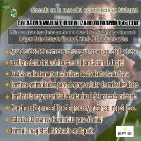 EFNE - Colágeno Marino Hidrolizado Reforzado en polvo + Acido hialurónico + Vitamina C + Zinc + Selenio - 300G - Sabor Frutas Tropicales - Piel, cabello, tendones, ligamentos - 100% natural - details 1