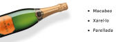 Cava Parxet Cuvée 21 Ecológico - DO Cava - details 2