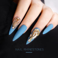 Kit De Diamantes Champagne Para Uñas Con 6 Cuadrículas De AB Cristales Planos Para Arte De Uñas Y Diseño De Manicura DIY Colores Mixtos - details 4