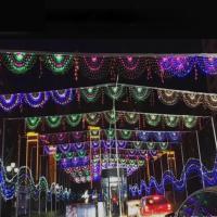Luces De Hiedra LED Peacock Para Festivales 3.2x0.6M 420 LEDs Red Malla Exterior Decoración De Navidad Y Boda Lámpara De Guirnalda - details 8