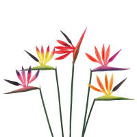 Flor Artificial De Bird of Paradise Strelitzia Planta Falsa Con Peso Largo Para Decoración De Fiesta En Casa Y Tema DIY - details 0