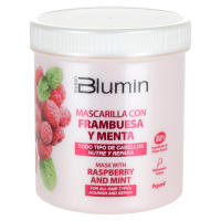 Tahe Blumin Mascarilla Frambuesa y Menta 700 Ml. / Mascarilla nutritiva y purificante de Blumin. - details 0