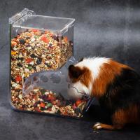 Dispensador De Alimentos Para Mascotas Pequeñas Como Hamsters Conejos Y Ardillas Plástico Transparente Alimentador Automático Para Hamsters Guineapicos - details 3