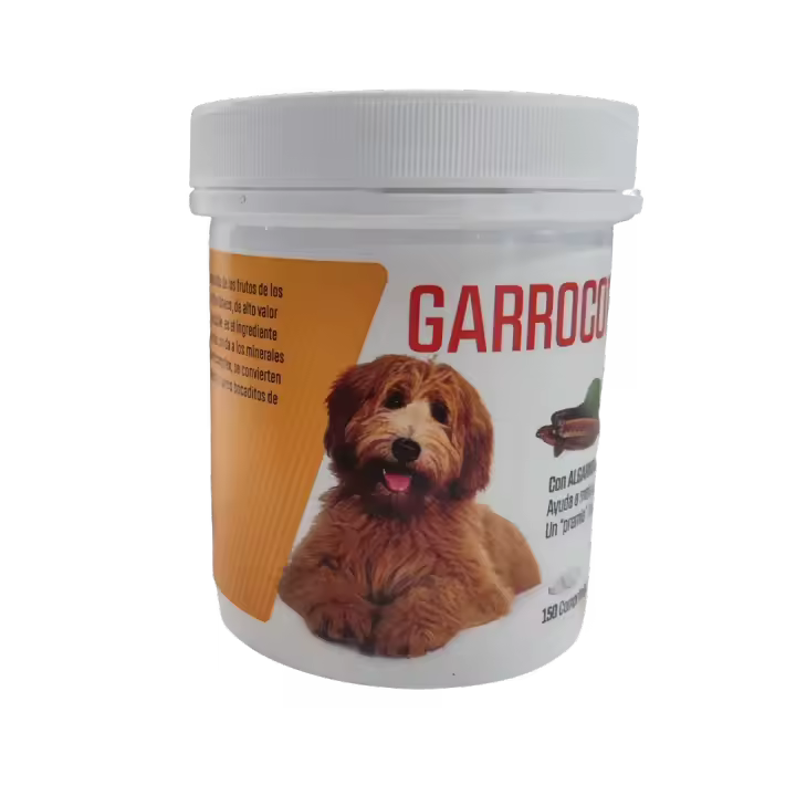 Garrocomplex - 1