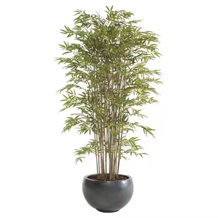 MISTERWILS FURNITURE FOR FREE SOULS - Planta Artificial Decorativa Árbol Bambú Alta Calidad - 1