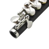 SLADE Flauta Piccolo De Cuerpo De Cupro-Níquel Tono C Con 16 Agujeros E Key Oro Y Plata Instrumento Musical De Viento Profesional - details 8